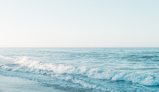 フォルティウスメンバー紹介　女子カーリング界の数奇な運命